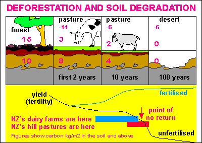 deforestation and soil degradation