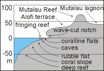 Coastal profile Niue